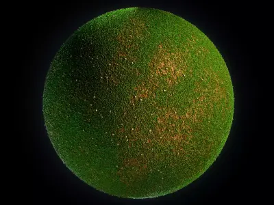 Grass - Wood-VOL 01-Maps - SBsar Texture