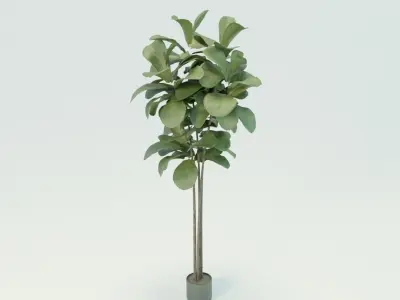 Floor Plant 03 Free low-poly 3D model