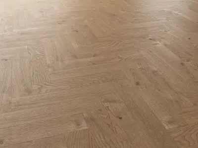 Parquet Oak Estate NEW Sanded set 4 3D model