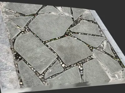 Walkway composed of flat floor tiles and stones 3d scan 3D model