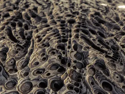 BIOMECHA UNIVERSE VOLUME 4  Texture