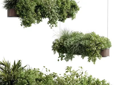 Hanging Plants - Indoor plant 505 corona 3D model