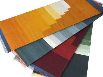 Another Rug AP2 3D model