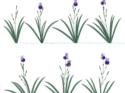 Dark-light lilac irises 3D model