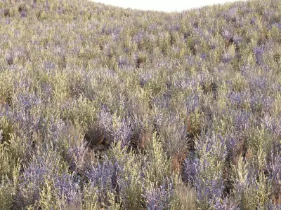 Grass for wild landscape collection vol 12 3D Model Pack