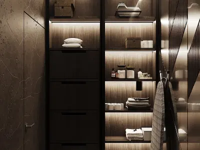 Dark Brown Laundry Room 2017 3D Scene 3D model