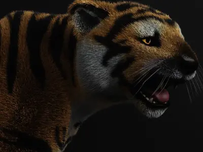 TIGER  RIGGED - ANIMATED 3D model purchase