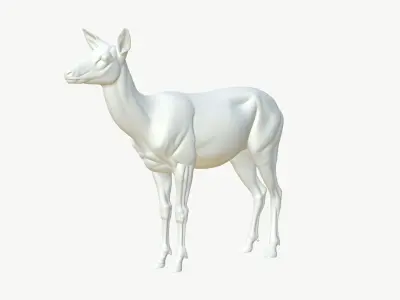  Realistic 3D Deer Model Low Poly PBR 