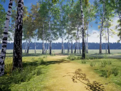 Birch-Tree Grove - low poly Low-poly 3D model