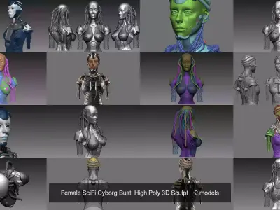 Female SciFi Cyborg Bust  High Poly 3D Sculpt  3D Model Pack
