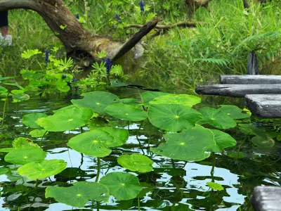 Landscape for Vray - Sketchup 3D Model Pack