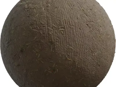 Raked Dirt Ground With Dry Grass  Texture