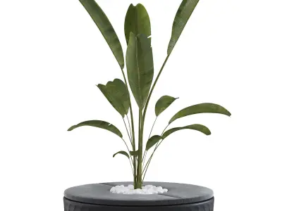 Vondom Vases Island with plant 3D model