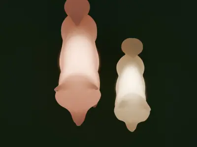 Indirect lighting of Shiba Inu and Mame shiba 3D model