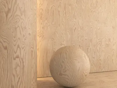 Plywood set 02 Texture
