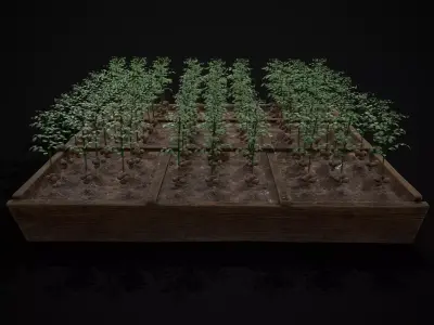 Square Planting Plot with Potatoes Low-poly 3D model