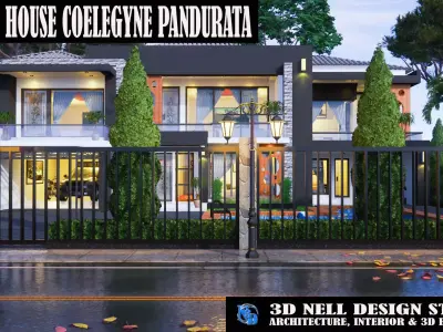 MODERN HOUSE COELEGYNE PANDURATA 3D model