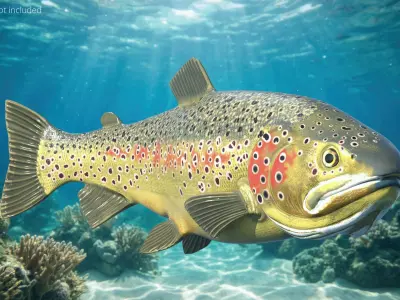  Brown Trout Fish Rigged For Blender 