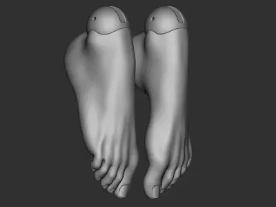 Feet 3D model bjd doll Female figurines ooak 3d print  legs 3D model