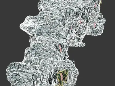 Trapped Dragon Cave - Mountain 02 3D model