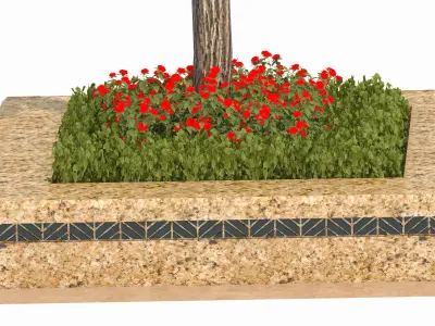 Ginkgo biloba L 3D model