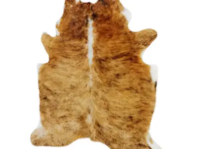 Animal skin rug 09 3D model