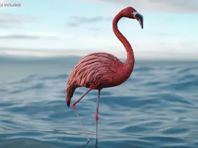  Bird Flamingo Pink Animated Rigged for Blender 