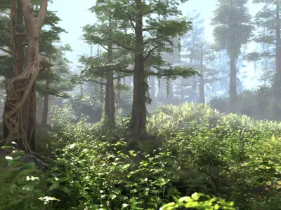  Sequoia Forest HD 