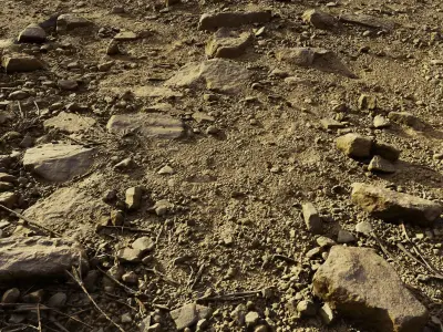 rockpathscan06102024 3D model