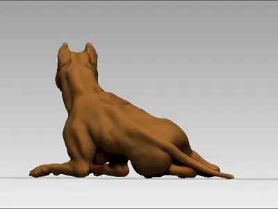 American pitbull terier sitting relaxed lying 3D print model