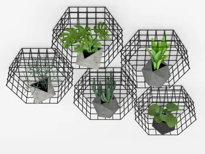 Plants Wall 3D model