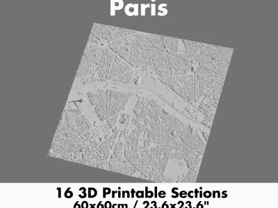Paris 3D Printing stl file 3D Model of Paris 3D print model
