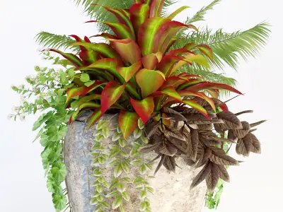 Plant in bowl 3D model