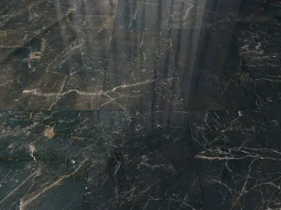 Marble Floor Carelia Black Set 1 Texture