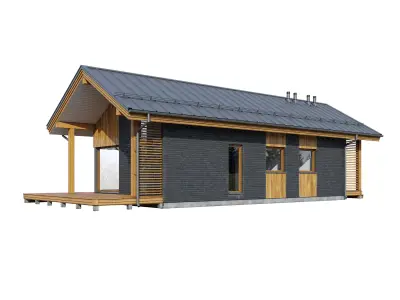 Alpine house Ansi 3D model