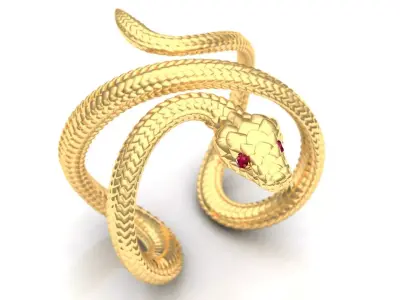 Ring Snake  3D print model