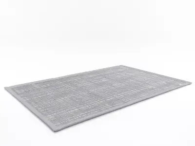Graficule checkered rug 3D model