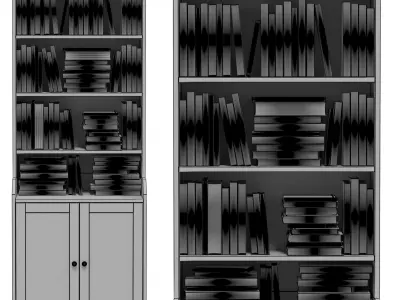 IKEA - HAUGA Tall cabinet with 2 doors and books 3D model