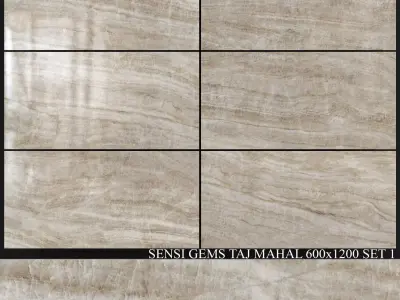 ABK Sensi Gems Taj Mahal 600x1200 Set 1 3D model