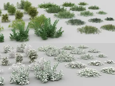 30 Wild Bushes with snow 