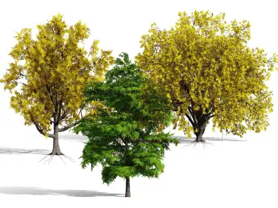 North American Honey Locust Tree Low-poly 3D model