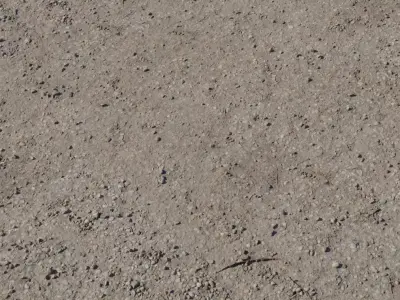 Compact Beige Gravelly Dirt  Texture