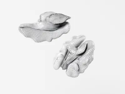 Walnuts - 3D Scan Low-poly 3D model