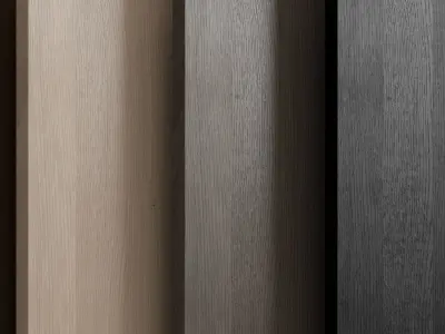 Oak wood with 6 colors vray corona Texture