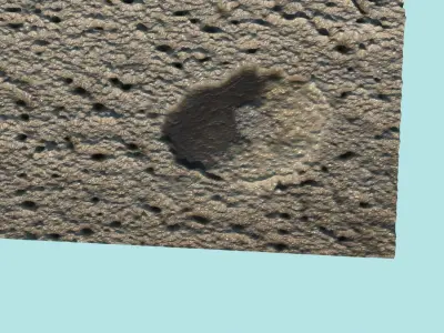 Burrows In The Sand 3D model