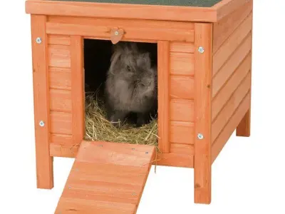 Gatsby Weather Resistant Mouse Portable Hutch Free 3D model