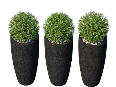 Street bushes in pots VIII 3D model