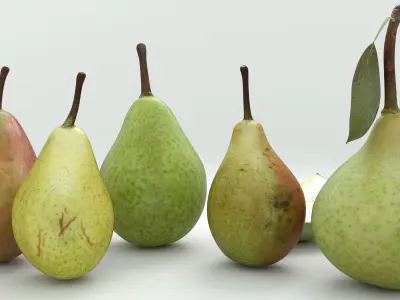 Pear 3d models 3D model