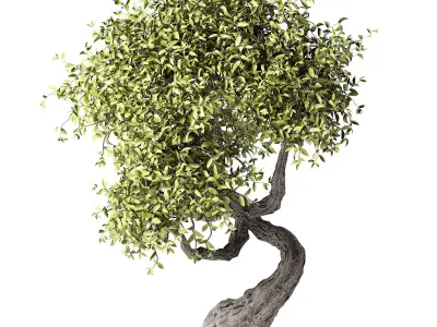 Twisted Tree Low-poly 3D model