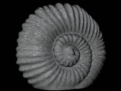 Spiral Shell Decor 3D model